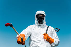 Best Fumigation Services  in Ashville, AL